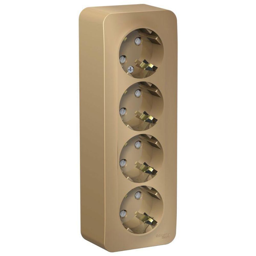 Розетка 4-м ОП Blanca 16А IP20 250В с заземл. защ. шторки с изолир. пластиной титан SE BLNRA011414