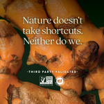 New Chapter, Turmeric Force, 120 вегетарианских капсул