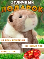 Мягкая игрушка хомяк морская свинка 22 см