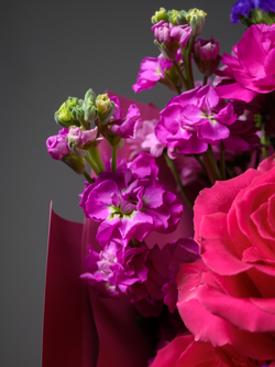 Фестиваль красок *