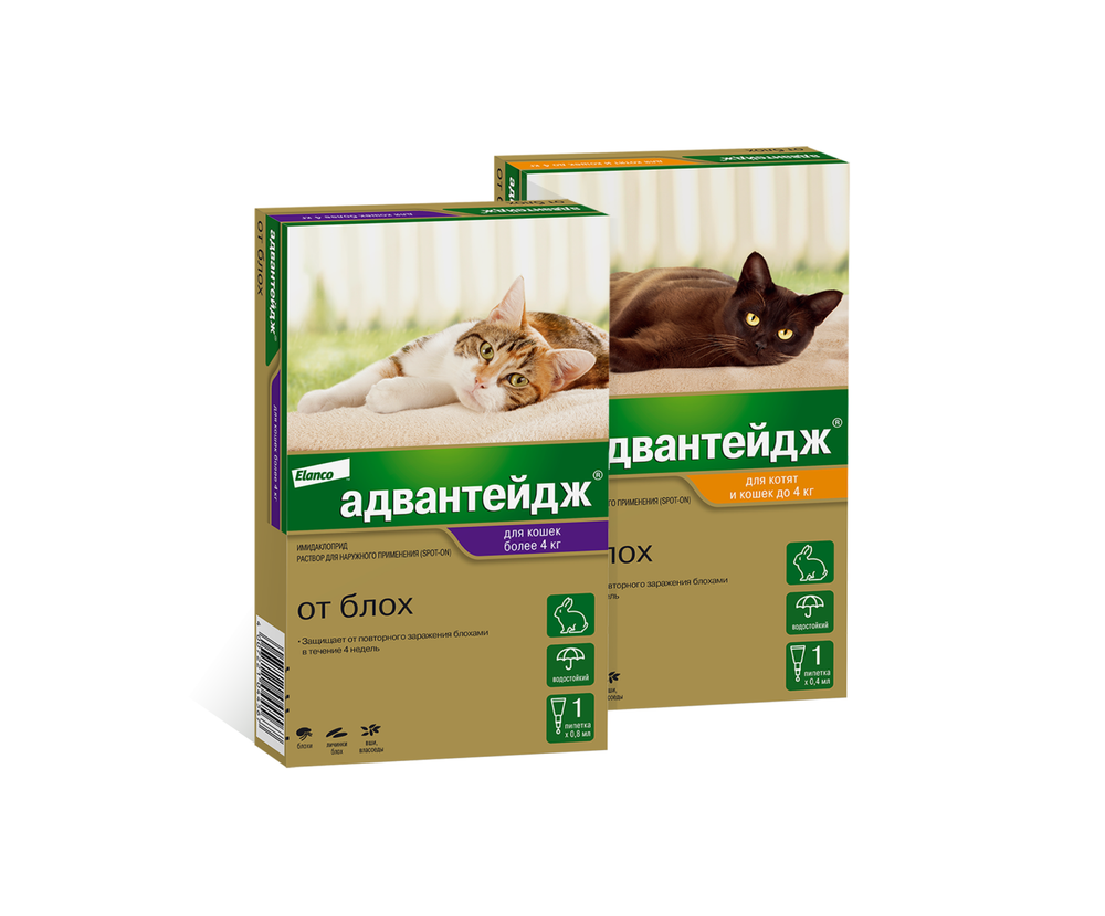 Адвантейдж, для кошек (1 пипетка)
