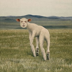 Альбом THORNAPPLE - ANIMAL EP Album