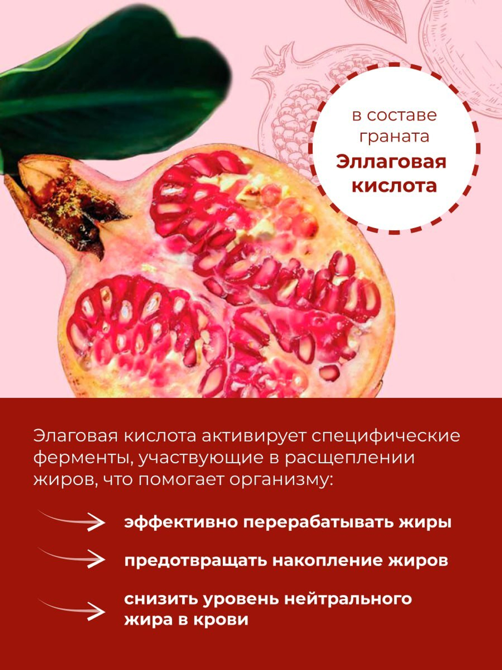 Фермент граната с коллагеном, 32 стика по 10г.