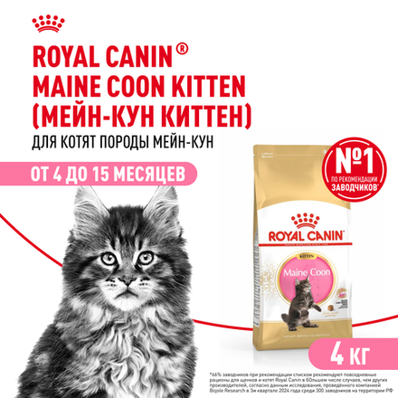 Royal Canin Maine Coon Kitten Киттен Мейн Кун Корм сухой для котят породы Мэйн Кун в возрасте от 4 до 15 месяцев 4кг