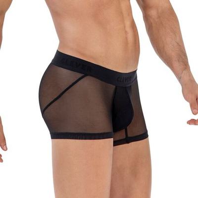 Черные прозрачные трусы-хипсы Yin Yang Trunks (Размер: L) (Цвет: черный)