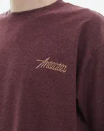 Футболка Anteater Phat 355 бордовая