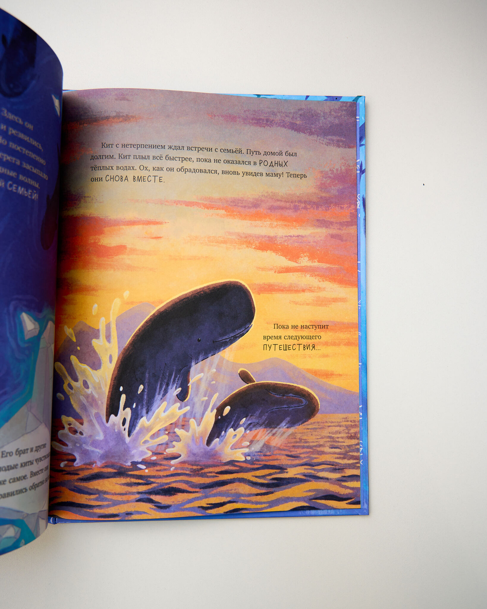 Комплект «Удивительные животные», 3 книги