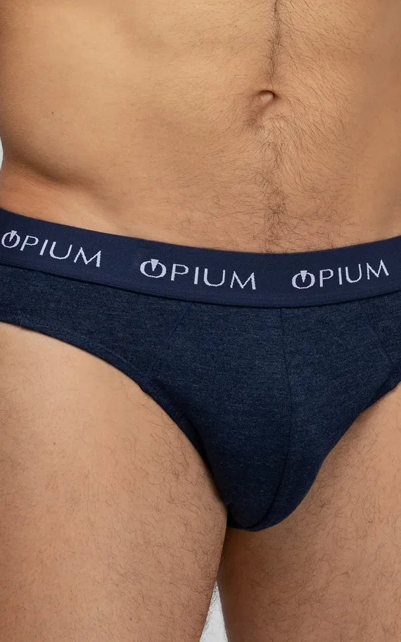 Мужские трусы R-14T Blue-Melange