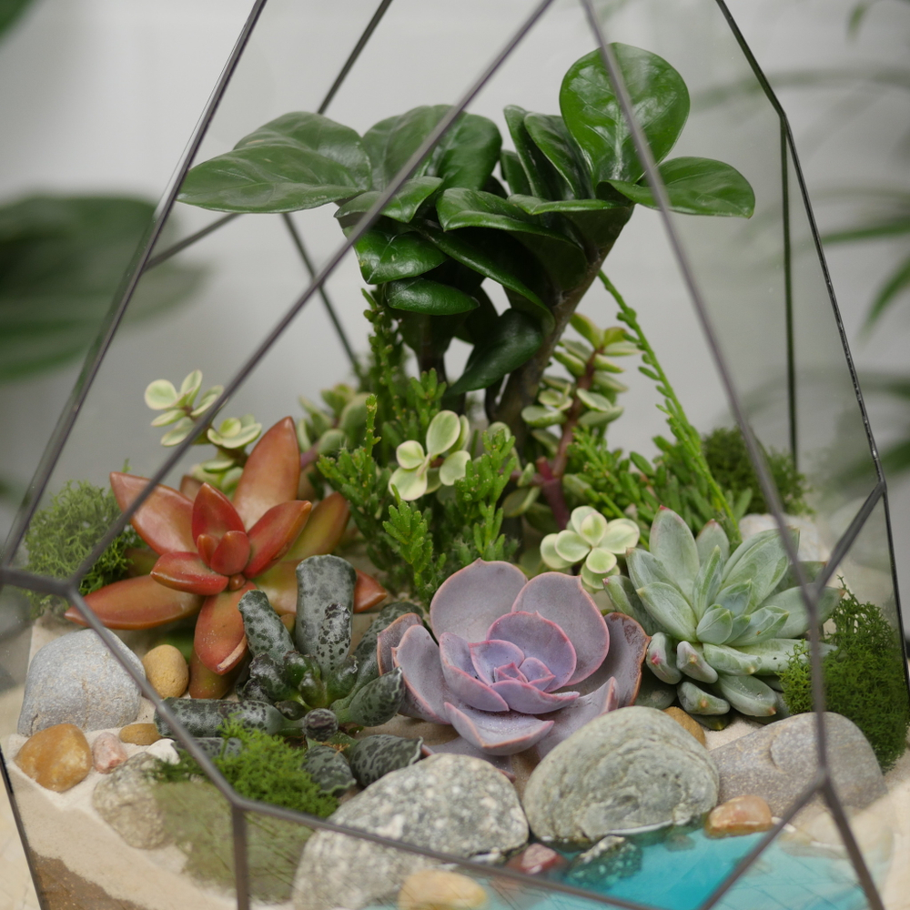 Готовый флорариум с суккулентами Hill с озером