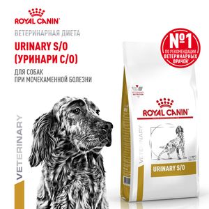 Сухой корм Royal Canin Urinary S/O для взрослых собак при мочекаменной болезни
