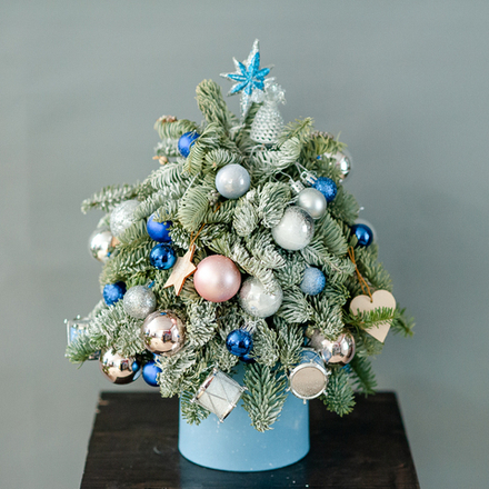 Новогодняя композиция из нобилиса 3