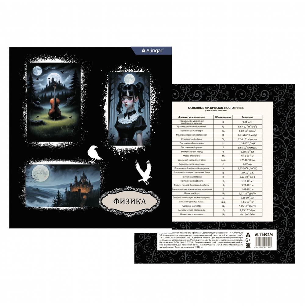 Тетрадь предметная "Физика" А5 48л., клетка, со справочным материалом, скрепка, мелованный картон(стандарт), блок офсет, Alingar "Mystical wednesday"