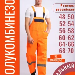 ДОРОЖНИК