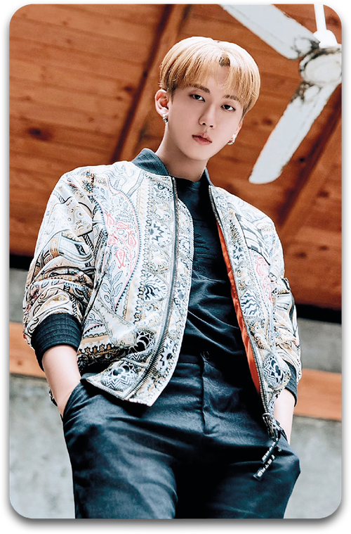 Карта / STRAY KIDS #3099