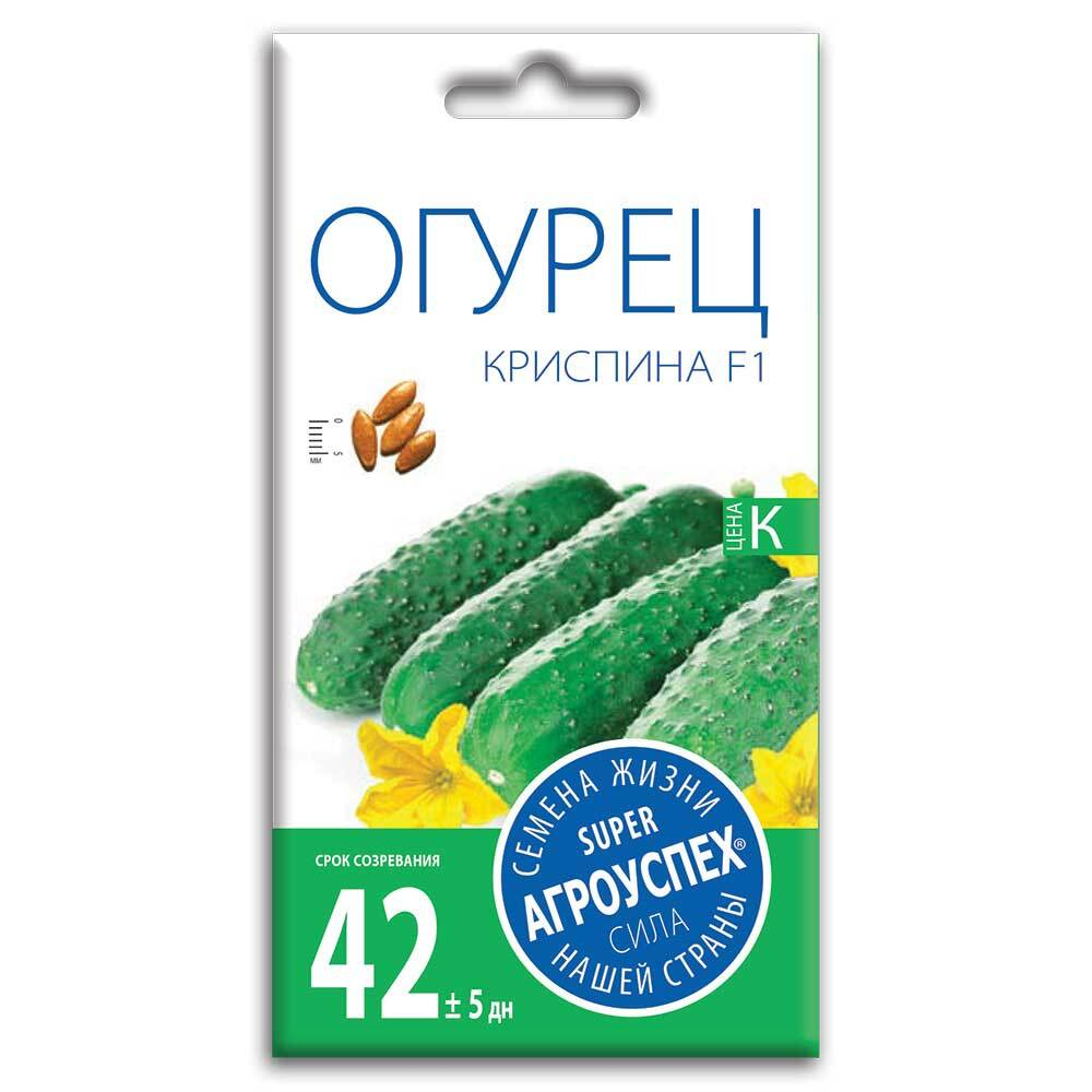ogurets_krispina_f1_semena_agrouspekh_7sht