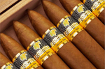 Cohiba Piramides Extra