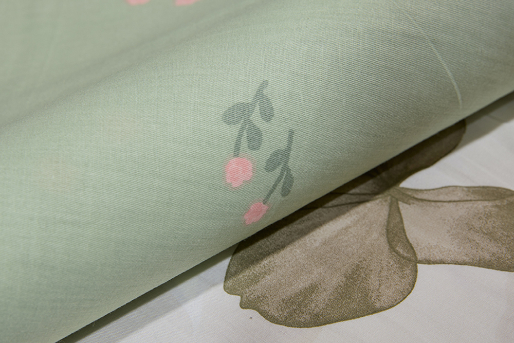 Постельное белье СайлиД B-504 сатин