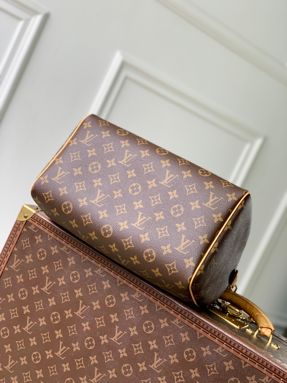 Louis Vuitton Speedy Soft 30
