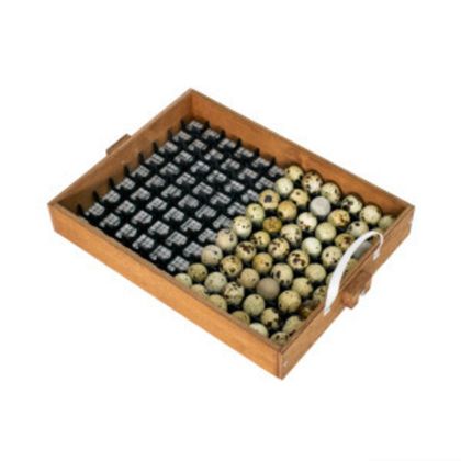 Перегородки в лоток для 108 перепелиных яиц в Блиц-48