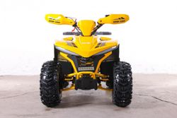 Квадроцикл GreenCamel Гоби K90 (48V 750W R7 Дифф) LUX Bluetooth