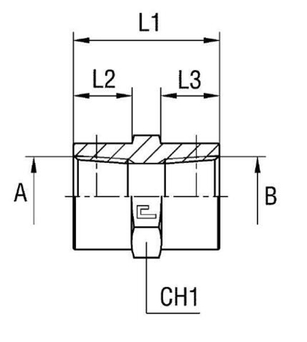 Соединение PS NPT 1/4" NPT 1/4" CAST