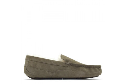 UGG Mens Ascot Olive