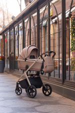 Коляска 2 в 1 Carrello Vector CRL-6550