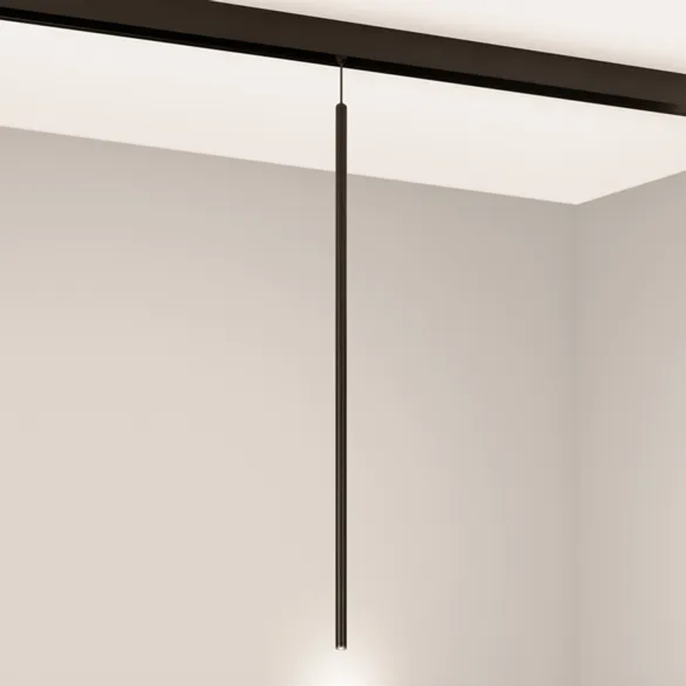Светильник MAG-ORIENT-SPOT-HANG-L600-R12-2W Warm3000 (BK, 20 deg, 48V) (Arlight, IP20 Металл, 5 лет) 044502