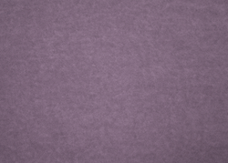 Микровелюр Simple (Симпл) 48