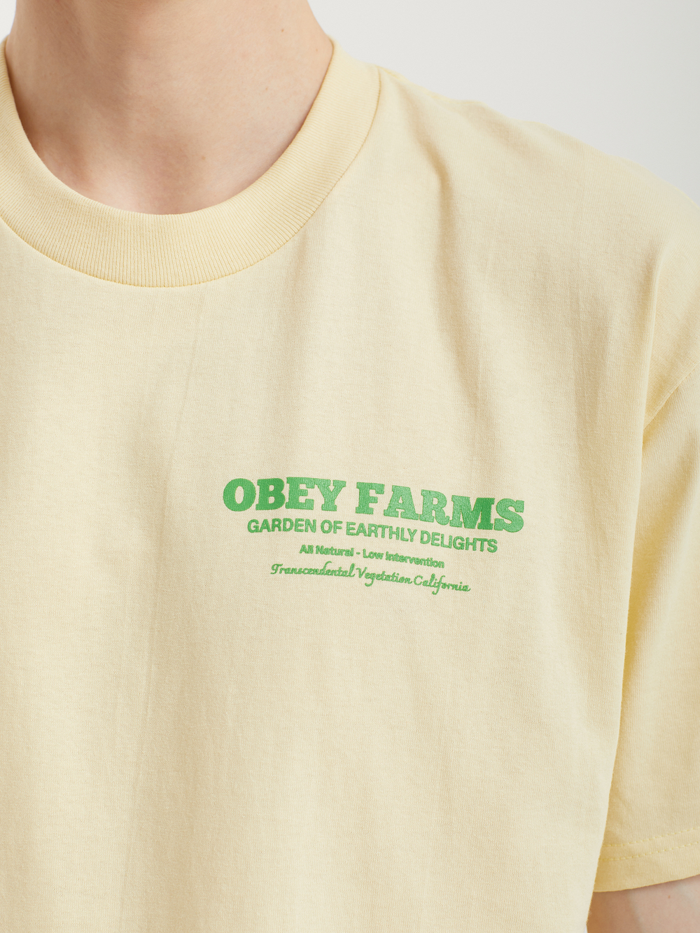 Мужская Футболка Obey Farms