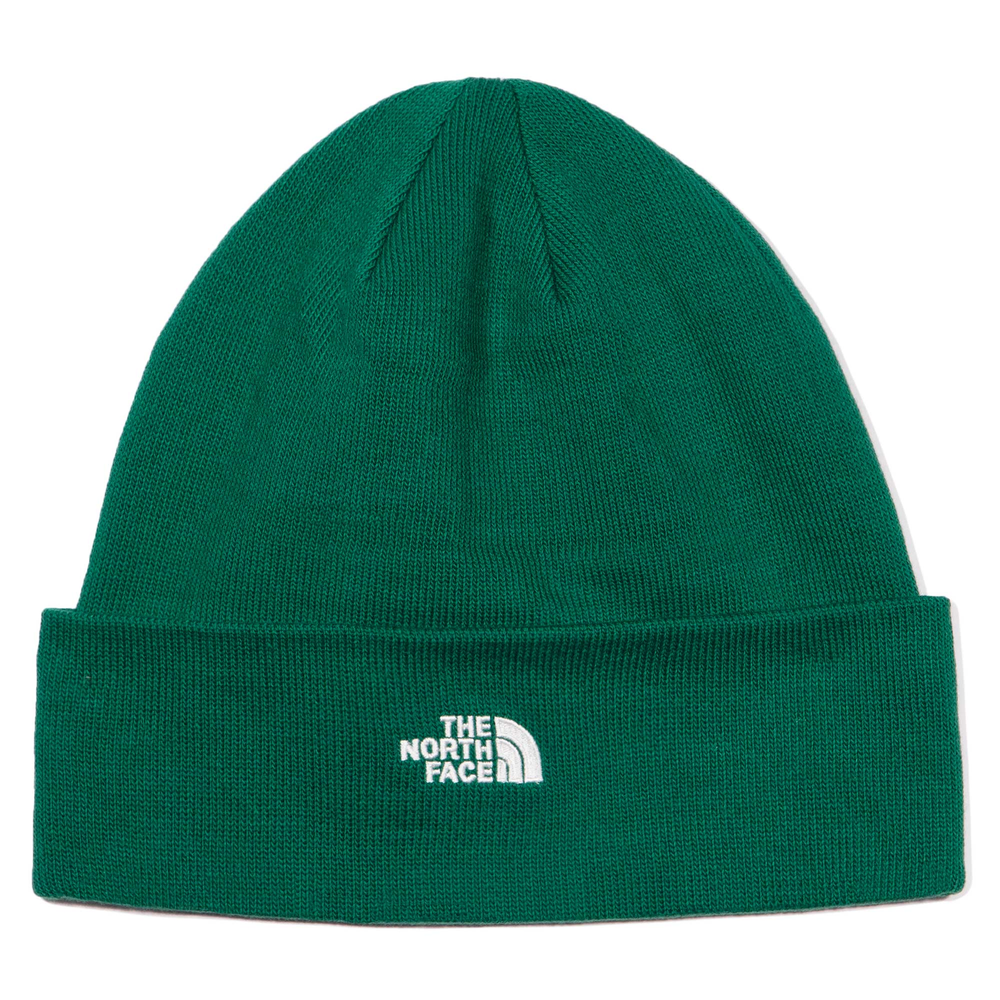 TOA5FW1NL1 Шапка The North Face Norm Beanie Green
