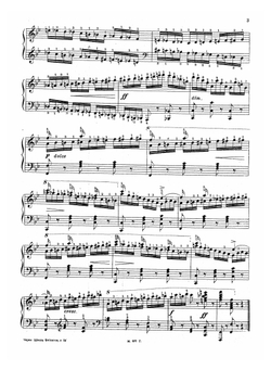 Школа беглости | Черни Карел