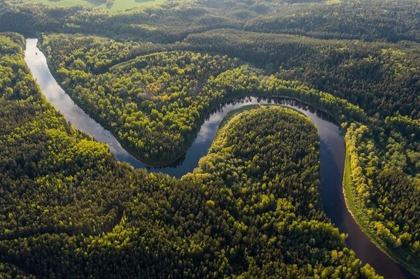 История рапэ: церемониальная традиция шаманов