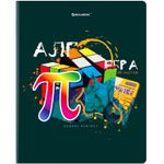 Тетрадь предметная со справочным материалом ORIGINAL 48 л., TWIN лак, АЛГЕБРА, клетка, BRAUBERG, 404297