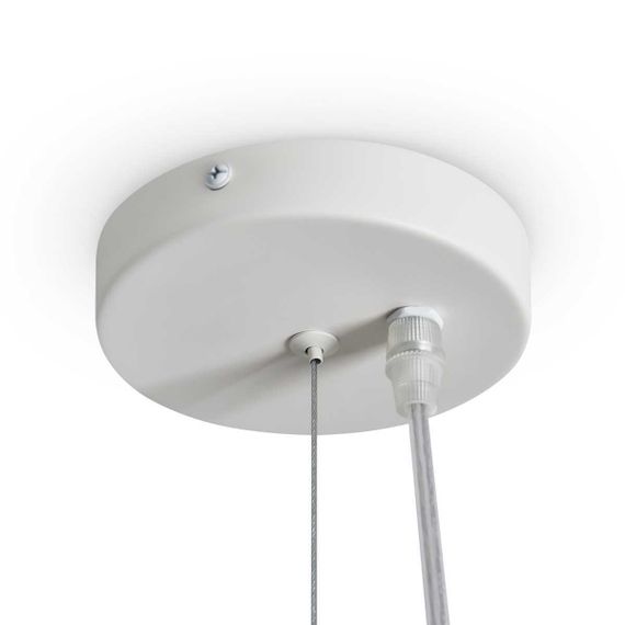 Подвесной светильник Freya Modern FR5555PL-L30BGG