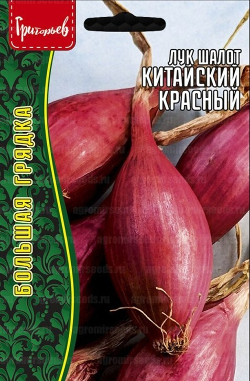Лук шалот китайский красный