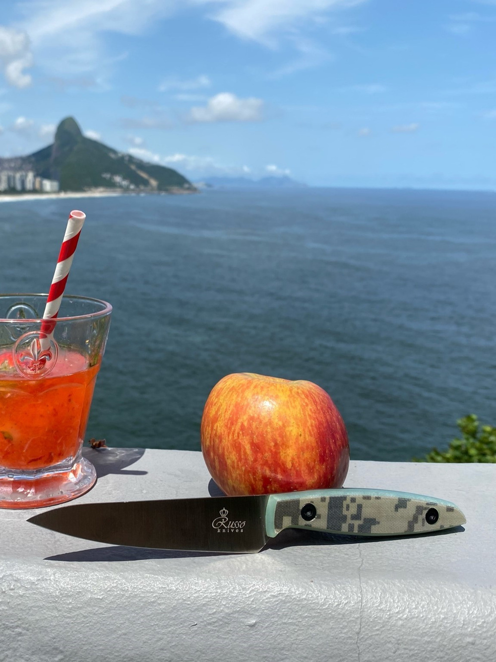 🏆Кухонный нож Alexander S N690 Camo G10