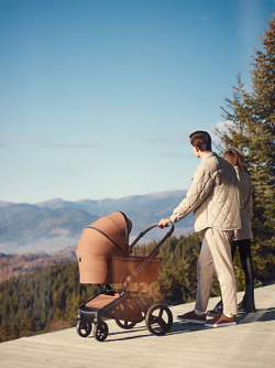 Детская коляска Anex l/type 3 в 1 Hazel