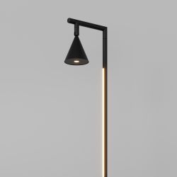 Торшер светодиодный Maytoni   MOD489FL-L20B3K