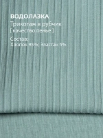 Водолазка для мальчика на осень школьная