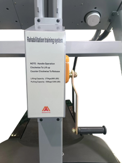 Беговая дорожка AMF 9643Z