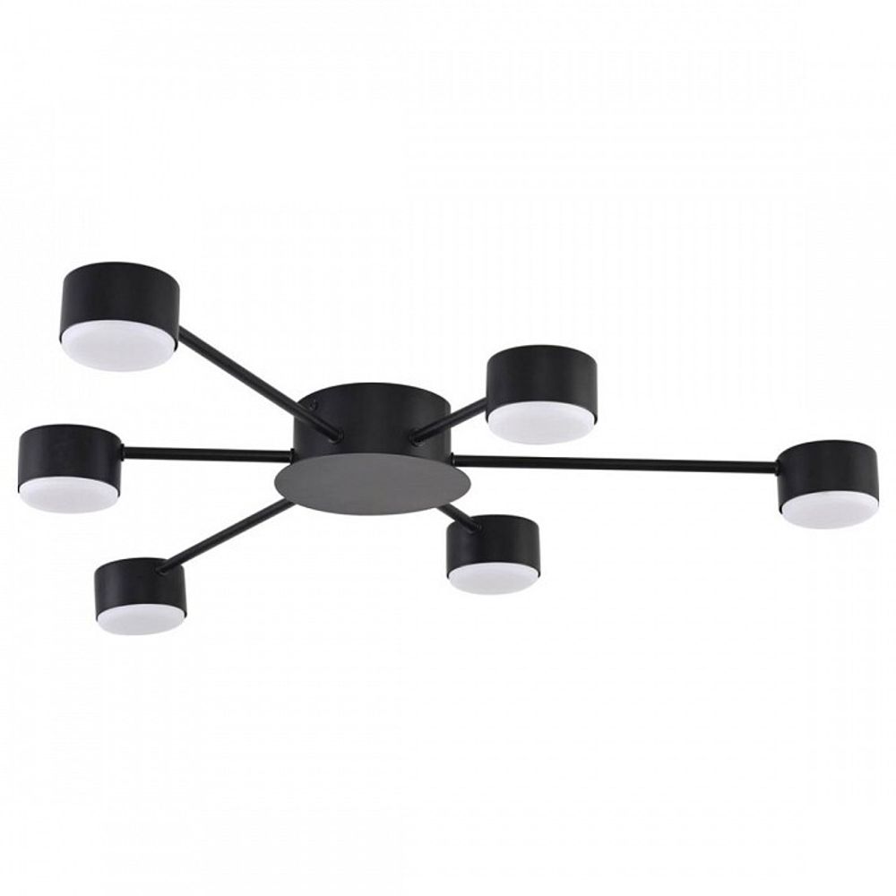 Потолочная люстра Lumion TORINA 8344/6C