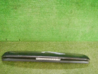 DSCN9578.jpg