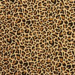 Бумага упаковочная "For Women", 70x100 см, 10 дизайнов ассорти, ЗОЛОТАЯ СКАЗКА, 591915, 1шт