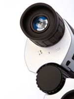 Бинокль Norbert Agent II 10x25 UCF