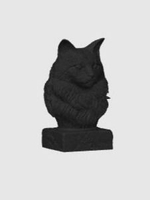 Кошка Мейн-Кун