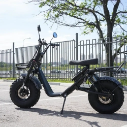 EcoMoto Lion Off-Road E1200W Back Edition
