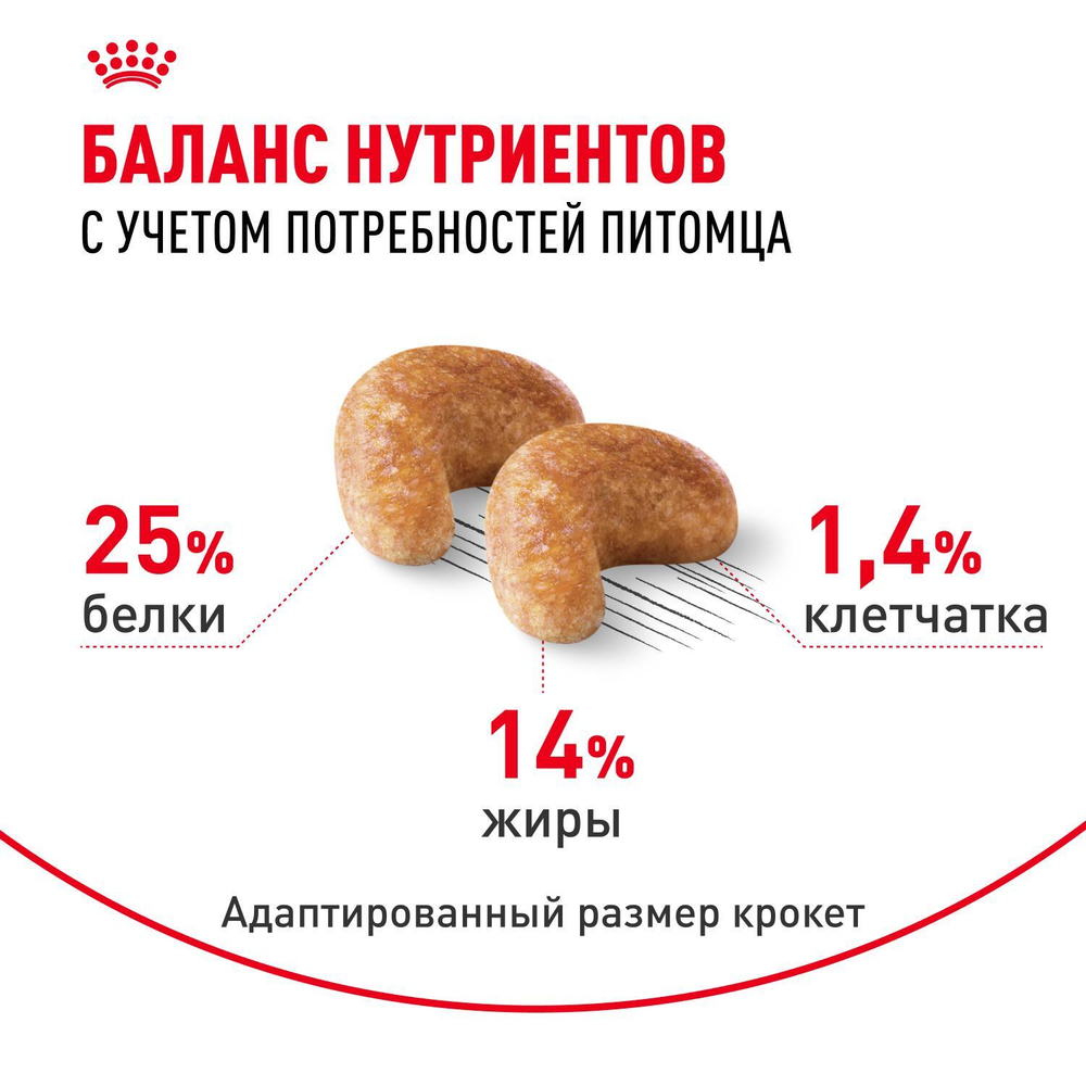 Royal Canin Golden Retriever Корм сухой для взрослых собак породы Голден Ретривер 3 кг