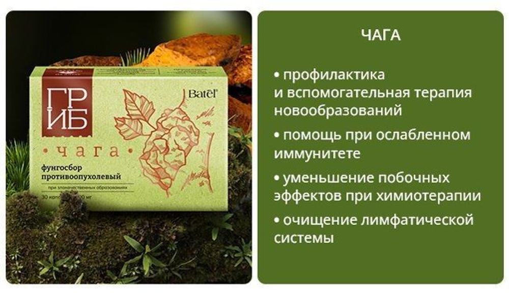 Концентрат пищевой на основе растительного сырья. Batel. Фунгосбор противоопухолевый при злокачественных образованиях с чагой