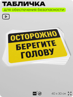 Табличка для обеспечения безопасности "Осторожно, берегите голову", для офиса, по охране труда для предприятия, организаций, 40х30 см, Silver Plane x Айдентика Технолоджи